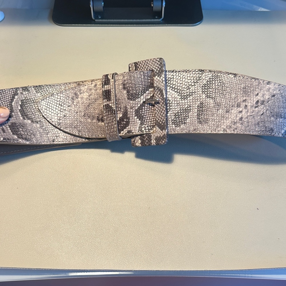 Wide Snakeskin-Print Fashion Belt in Gray Taupe